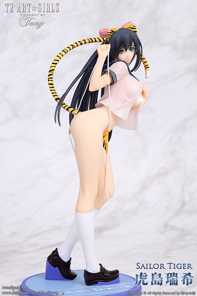 figure_collections_2017_163.jpg